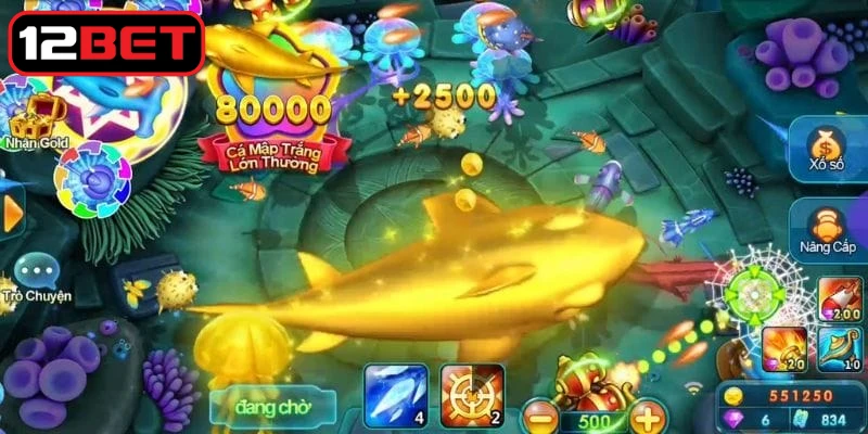 Để đạt hiệu quả cao thì người chơi cần nắm vững một số quy tắc nhất định