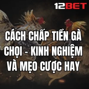 Cách Chấp Tiền Gà Chọi