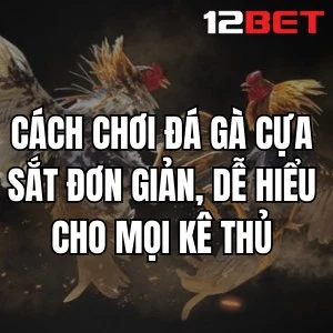 Cách Chơi Đá Gà Cựa Sắt