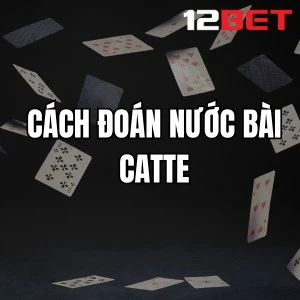 Cách Đoán Nước Bài Catte