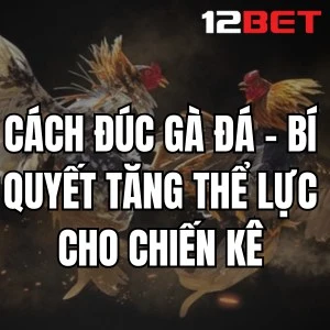 Cách Đúc Gà Đá