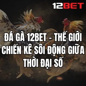 Đá Gà 12BET