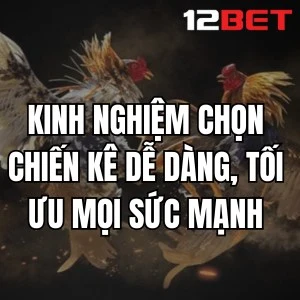 Kinh Nghiệm Chọn Chiến Kê