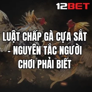 Luật Chấp Gà Cựa Sắt