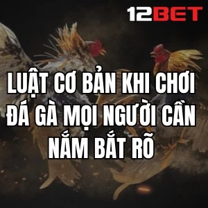 Luật Cơ Bản Khi Chơi Đá Gà