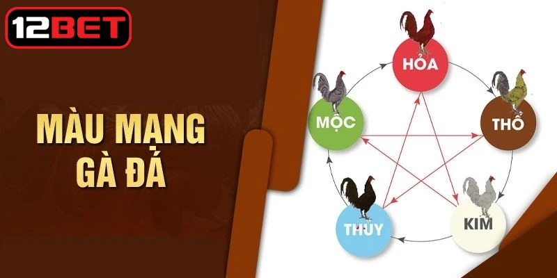 Màu mạng gà đá thể hiện mệnh theo phong thủy chính xác