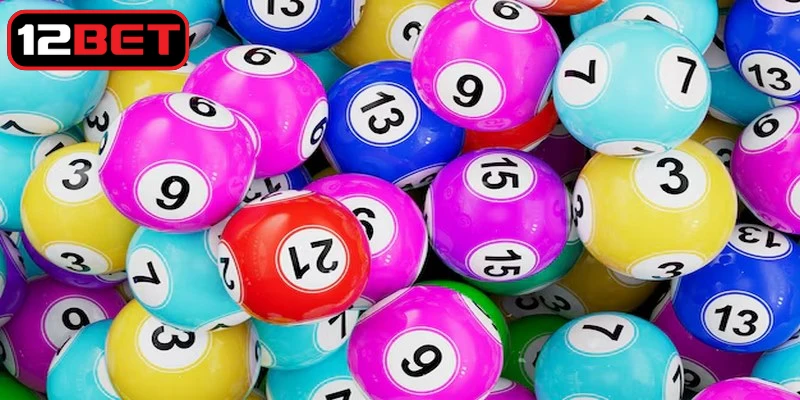 Nuôi khung bạch thủ lô là phương thức linh hoạt đầu tư linh hoạt