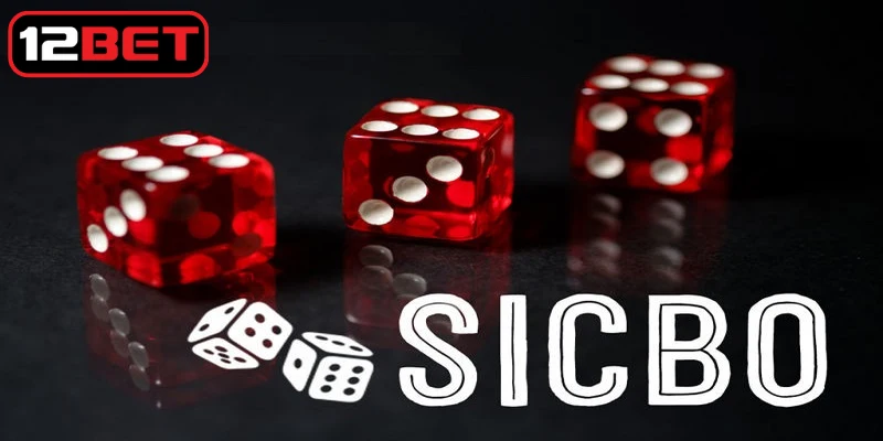 Sicbo online nhanh chóng trở thành xu hướng giải trí nổi bật
