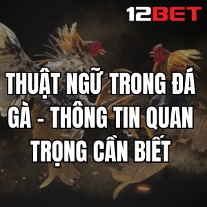 Thuật Ngữ Trong Đá Gà