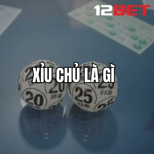 Xỉu Chủ Là Gì?